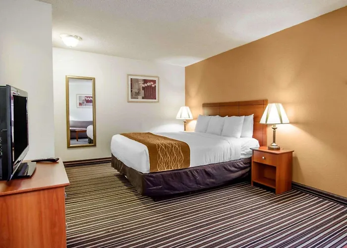 Comfort Near Sabino Canyon 4* Tucson