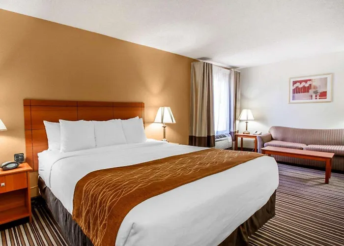 Comfort Near Sabino Canyon 4* Tucson