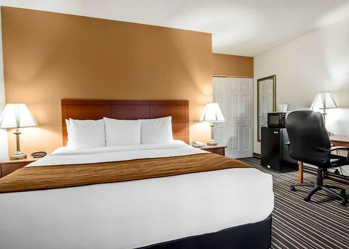 Comfort Near Sabino Canyon
