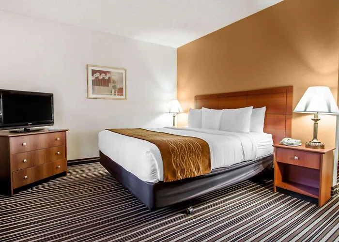 Hotel Comfort Near Sabino Canyon Tucson