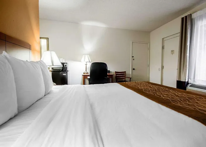 Comfort Near Sabino Canyon Tucson