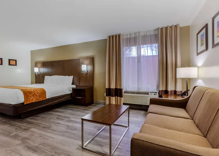 Comfort Near Sabino Canyon Hotel Tucson