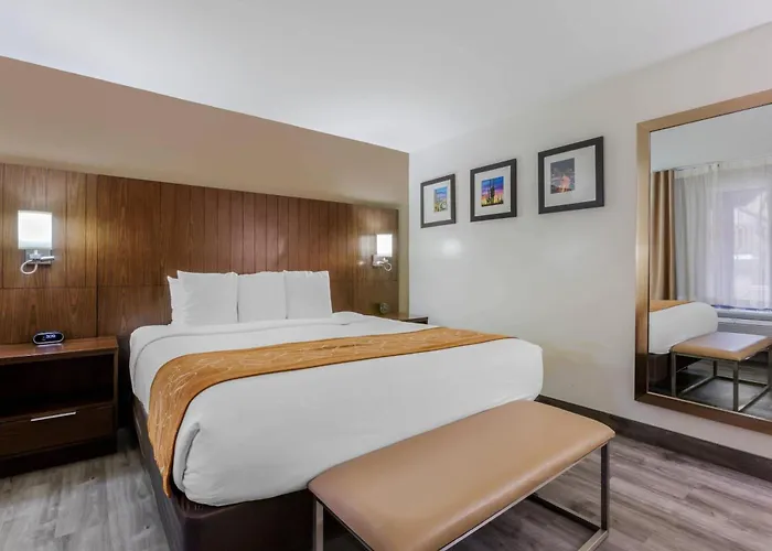 Comfort Near Sabino Canyon 4* Tucson