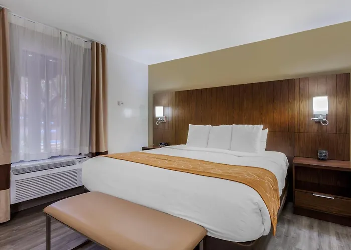 Comfort Near Sabino Canyon Hotel