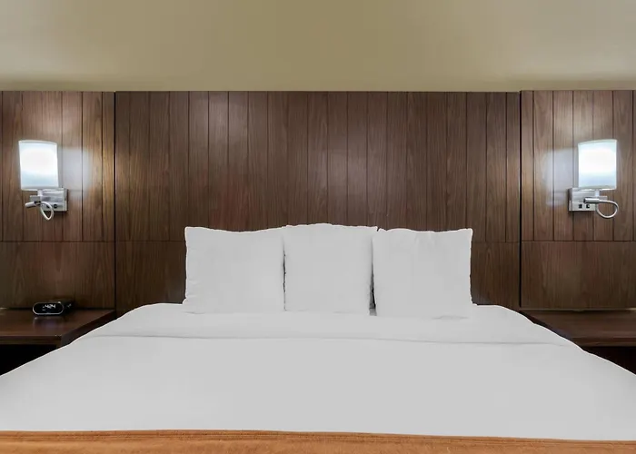Hotel Comfort Near Sabino Canyon 4*