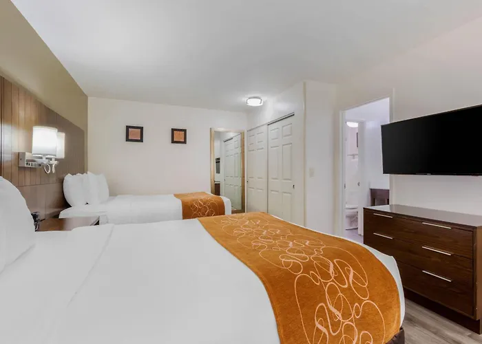 Comfort Near Sabino Canyon 4* Tucson
